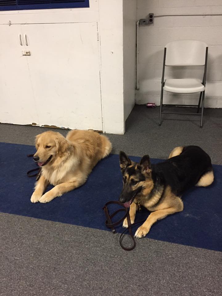 Explosives Detection Training 4