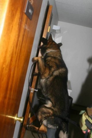 Building Search Training