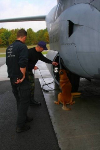 Aircraft Detection