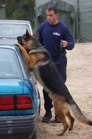 Detection Demonstration
